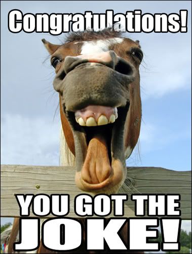 yaaayforyou.jpg