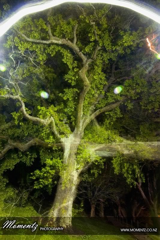 IMAGE: http://img.photobucket.com/albums/v441/evobit/_MG_0015_web.jpg