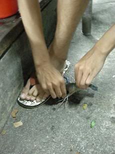 Photo Sharing and Video Hosting at Photobucket