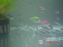 Image hosted by Photobucket.com