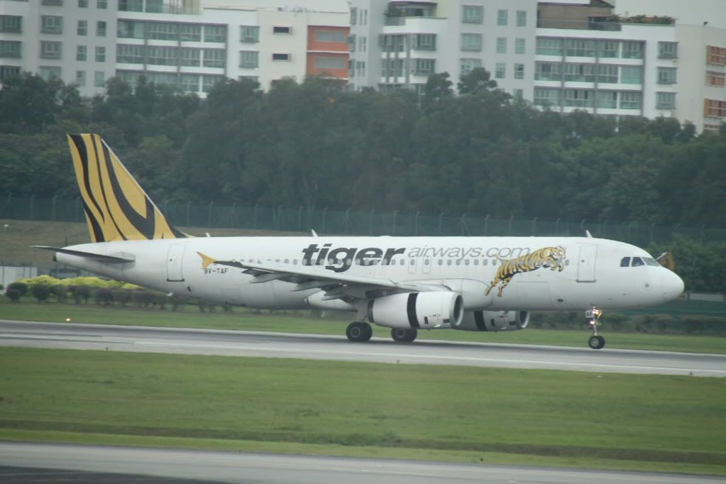 TigerAirways_9V-TAF.jpg