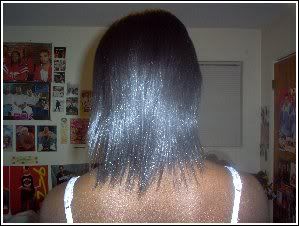 BACKVIEW.jpg