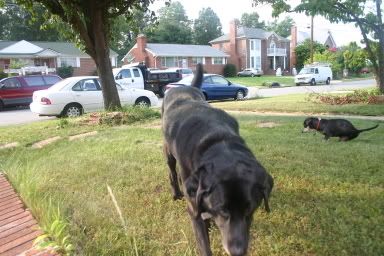 IMAGE: http://img.photobucket.com/albums/v443/Wikoli29/randoms4015.jpg