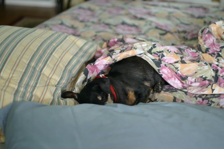 IMAGE: http://img.photobucket.com/albums/v443/Wikoli29/valeriesbday06039.jpg