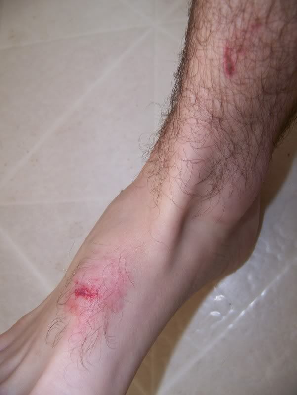 External inline image provided by member with no explanatory text