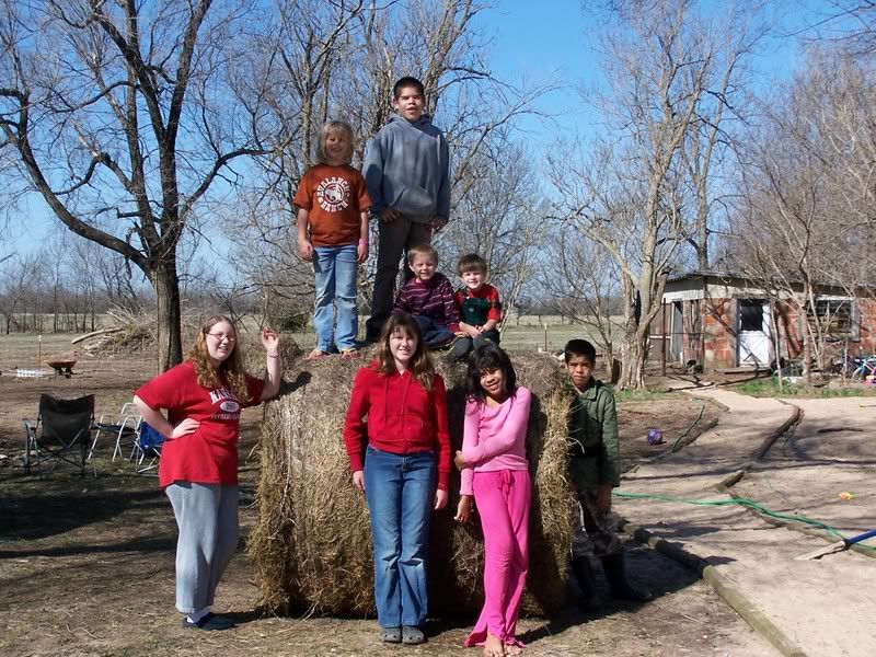 just sharing a picture :) - Cattle