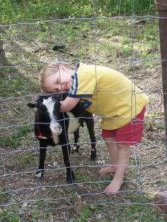 We have a goat now :) - Goats