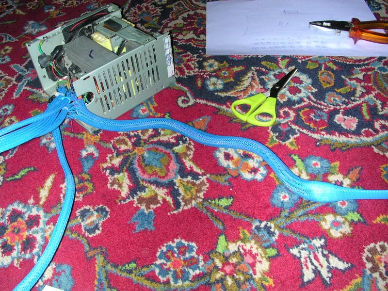 DSCN4266.jpg