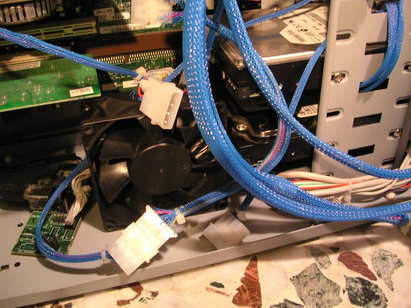 DSCN4272.jpg