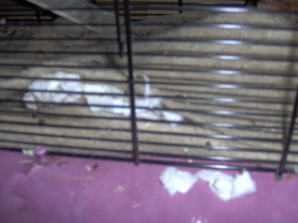 IM000552.jpg