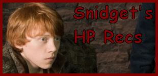 Visit Snidget's Recs Today!