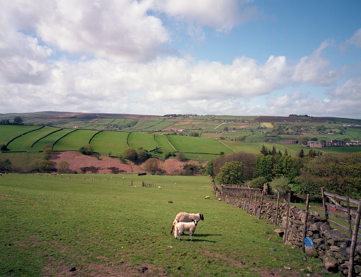 Ektar%20Haworth%20etc011.jpg~original