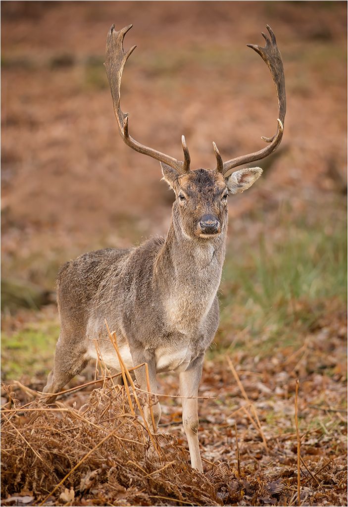 DunhamMassey110114-14.jpg