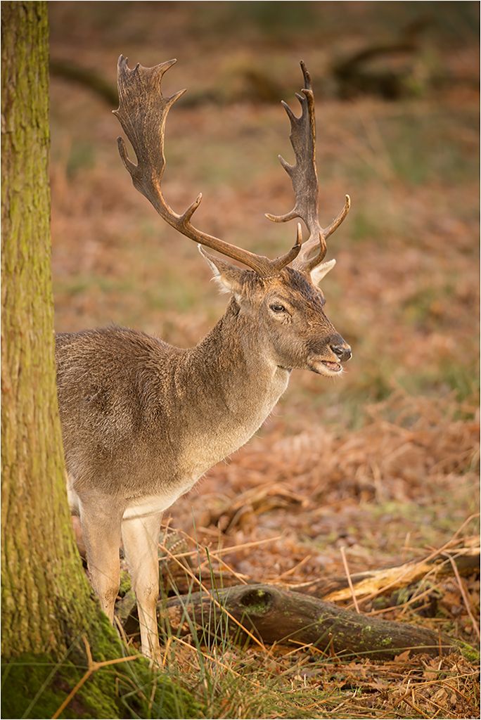 DunhamMassey110114-16.jpg