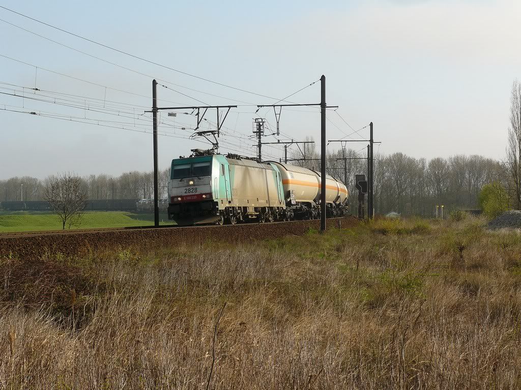Afbeelding