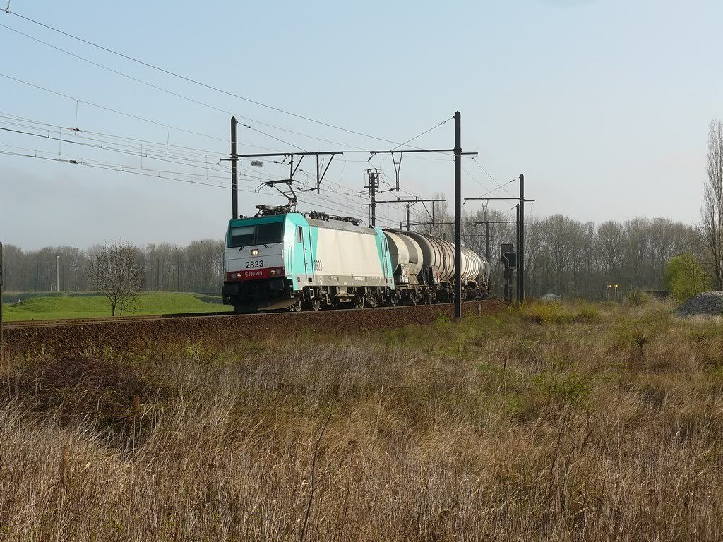 Afbeelding