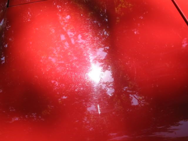 101_0132.jpg