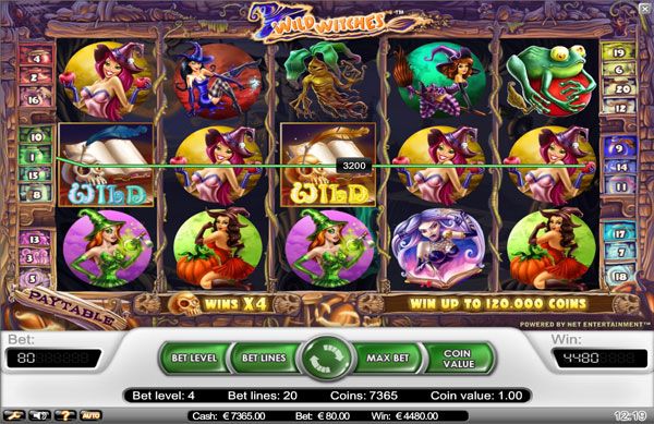 Wild Witches Video Slot