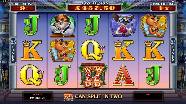 Kitty Cabana Online Slot