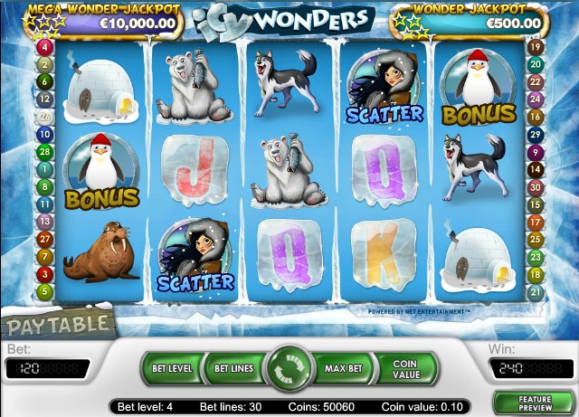 Icy Wonders Video Slot