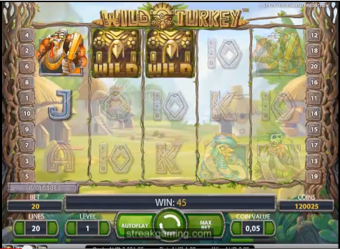 Wild TurkeyVideo Slot Machine Review