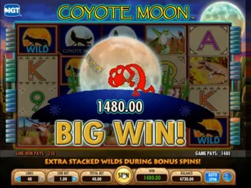 Coyote Moon Video Slot Review