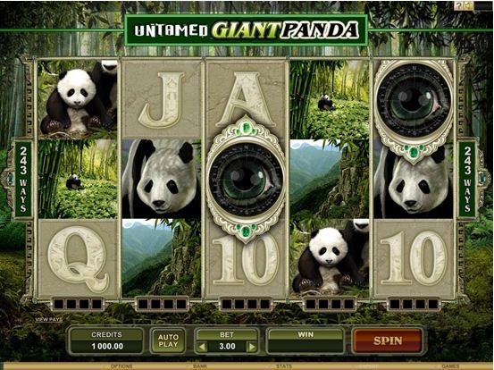 Untamed Giant Panda Video Slot