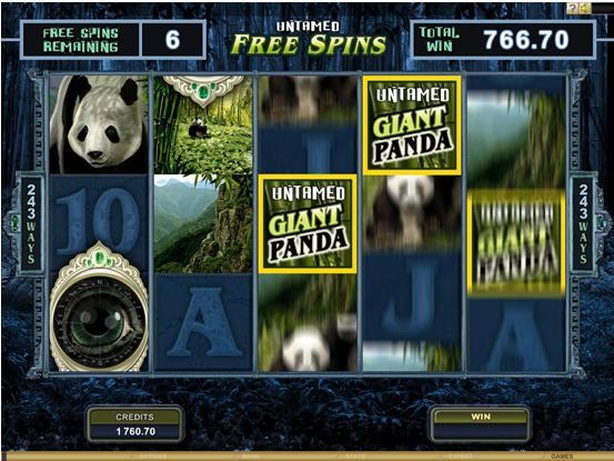 Untamed Giant Panda Video Slot