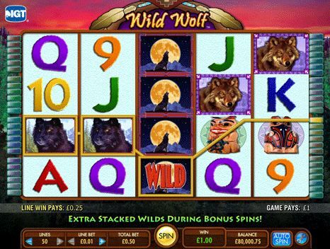 Wild Wolf Video Slot Review