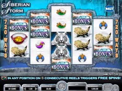 Siberian Storm Video Slot