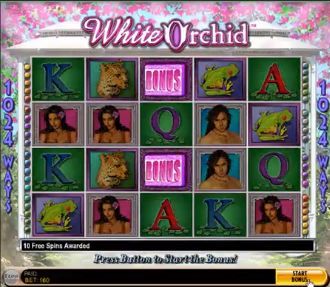 White Orchid Video Slot
