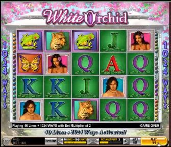 White Orchid Video Slot Review 