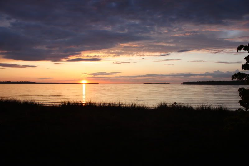 IMAGE: http://img.photobucket.com/albums/v448/gremlin75/IMG_2752.jpg