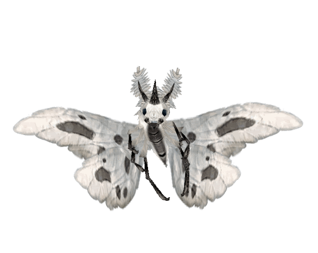 Wolf Moth