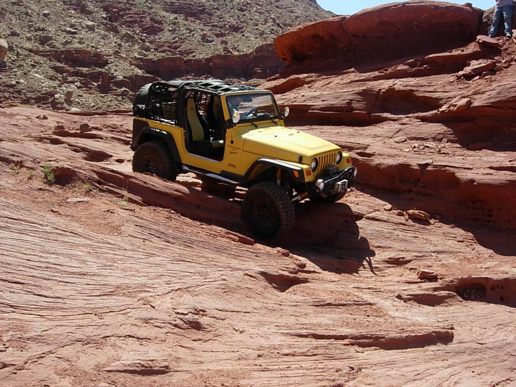 Dog nets for jeep #5