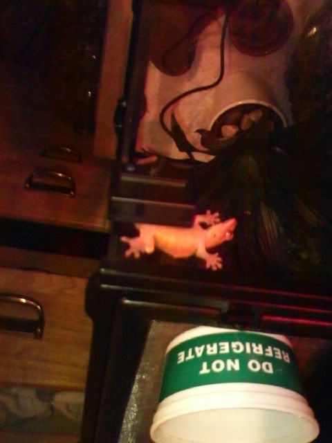 P_00018.jpg