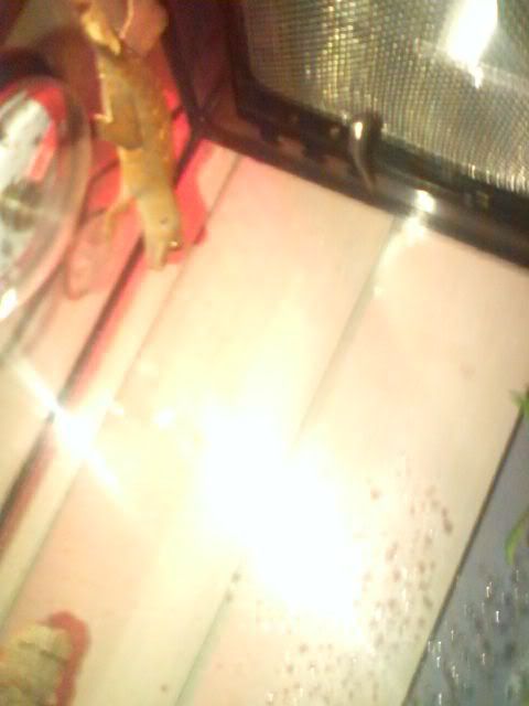 P_00022.jpg