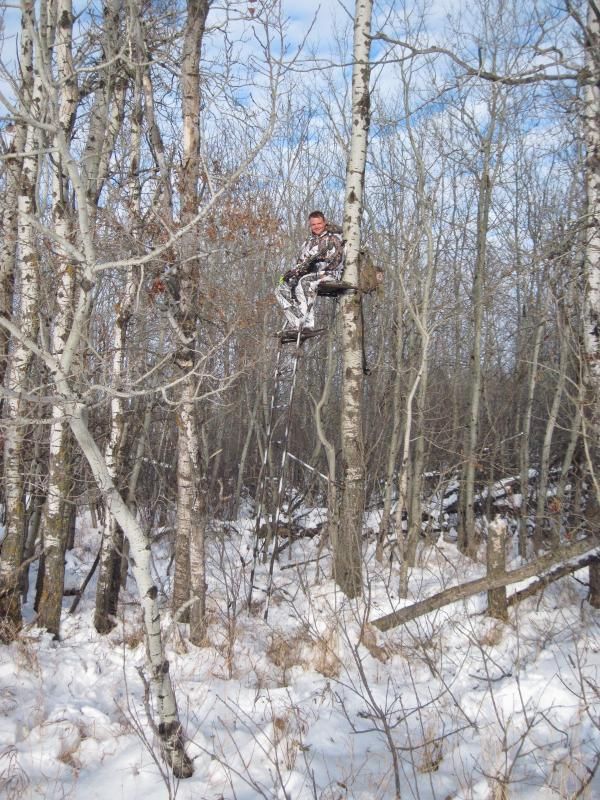 Ground blind vs tree stand Alberta Outdoorsmen Forum