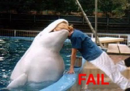 fail photo: dolphine fail 707417.jpg