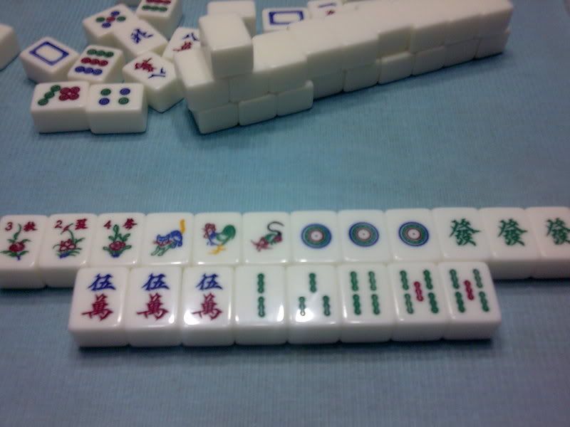 5 Tie!!