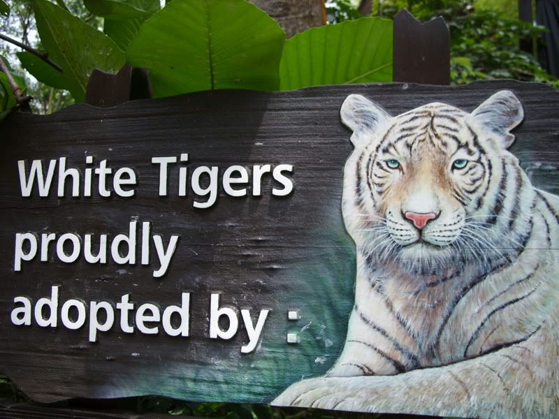 White Tiger!!