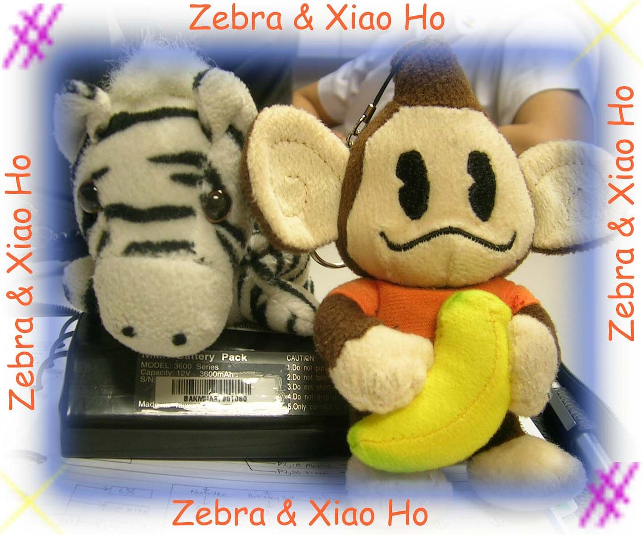 Zebra & Da Ho!!