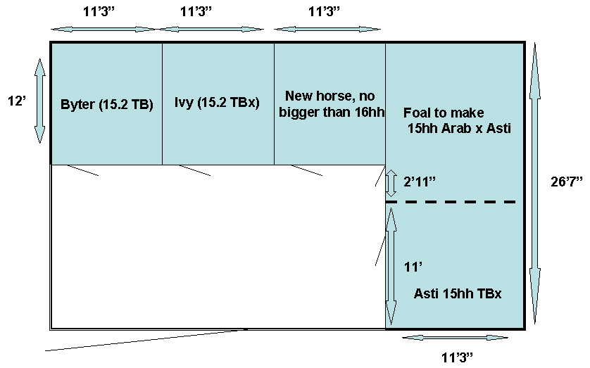 Stable sizes and door sizes...