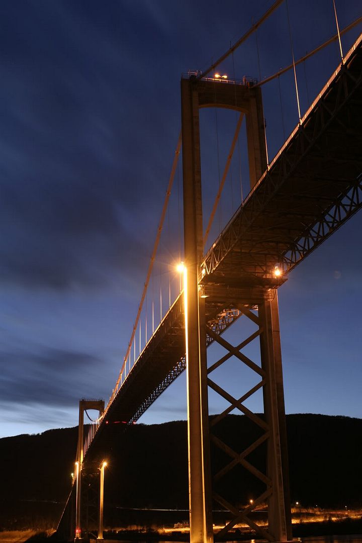 IMAGE: http://img.photobucket.com/albums/v451/Jann-Arne/699_9943.jpg