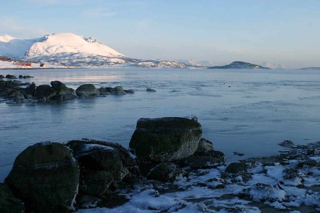 IMAGE: http://img.photobucket.com/albums/v451/Jann-Arne/IMG_16161.jpg