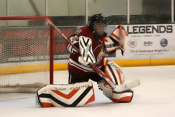IMAGE: http://img.photobucket.com/albums/v452/BigD6997/hockey1.jpg