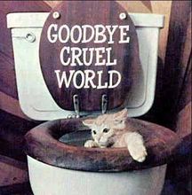 how cats commit suicide Pictures, Images and Photos