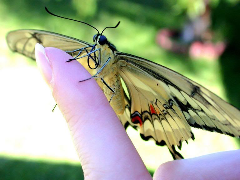 Image hosted by Photobucket.com