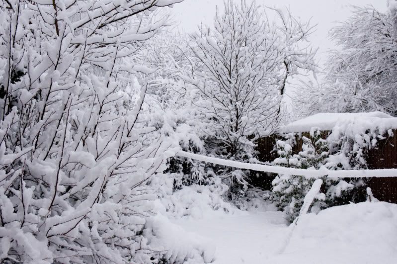 snow-06.jpg