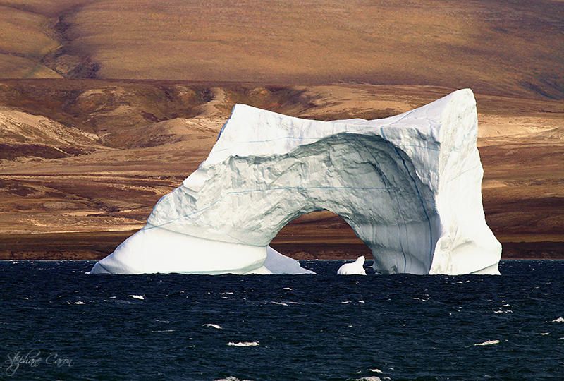 Iceberg perc (Detroit de Lancaster, Arctique Canadien)